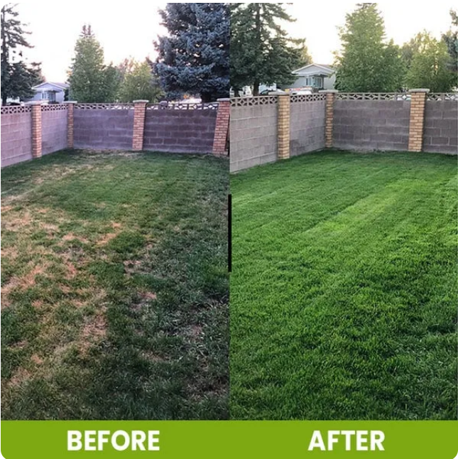 Soil Activated Treasure Premium Soil Activator (Buy 1 Get 1 free)