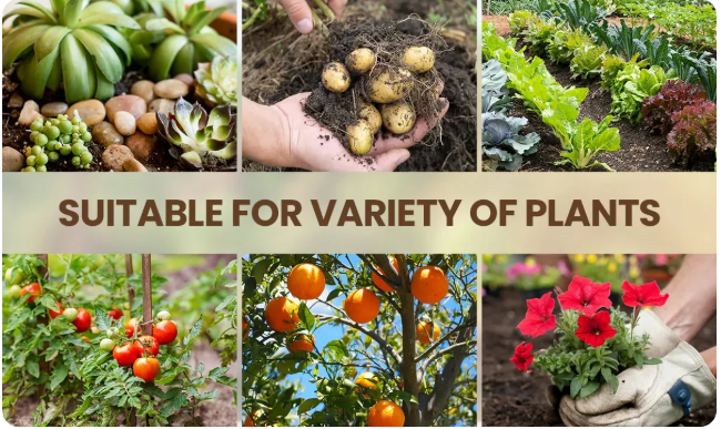 Soil Activated Treasure Premium Soil Activator (Buy 1 Get 1 free)