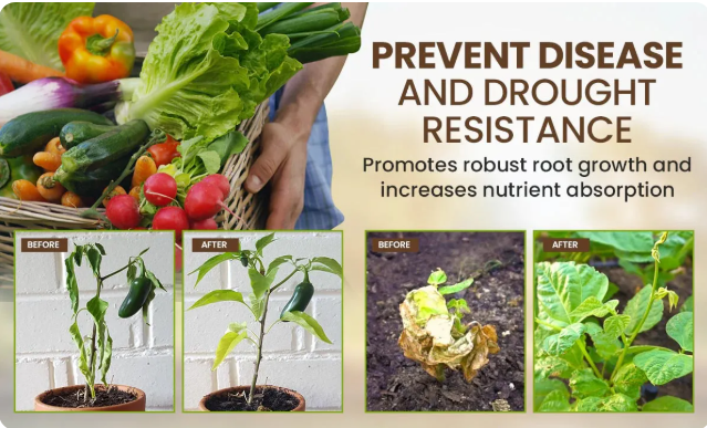 Soil Activated Treasure Premium Soil Activator (Buy 1 Get 1 free)